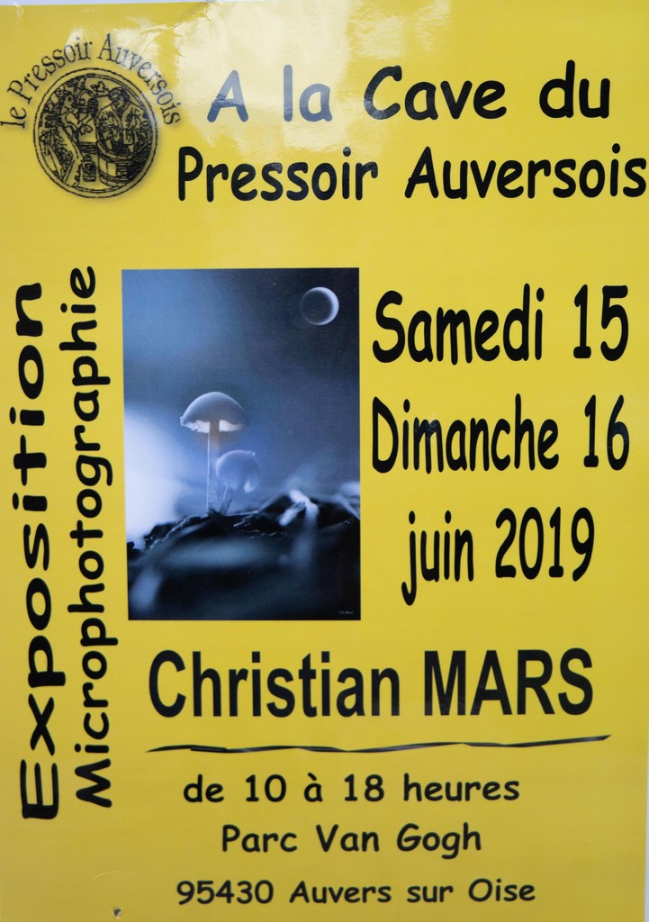 Pressoir d'Auvers sur Oise 15 et 16 juin 2019