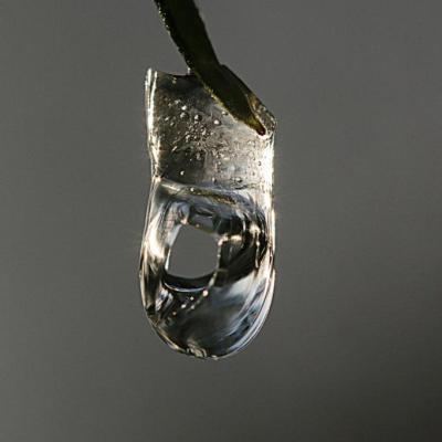 Gelée et percée