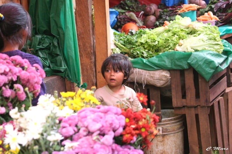 L'enfant et les fleurs